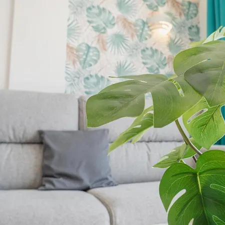 Apartament Charming Seaside And Terasse In Playa Paraiso Costa Adeje (Tenerife)